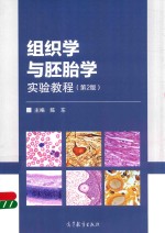 陈东主编；郭惠兰副主编 — 组织学与胚胎学实验教程 第2版