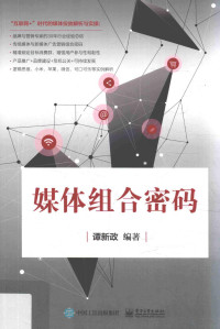 谭新政编著, 谭新政, editor, author — “互联网+”时代的媒体投放解析与实操 媒体组合密码