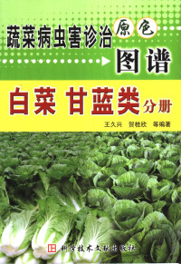 王久兴等编著, 王久兴等编著, 王久兴, 王久兴 (1969-) — 蔬菜病虫害诊治原色图谱 白菜 甘蓝类分册