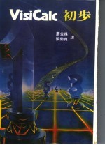 萧金林，张开贞译 — VisiCalc 初步