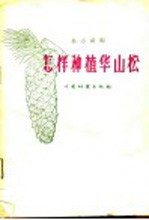 孙志武编 — 怎样种植华山松