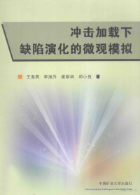 王海燕，李旭升，崔新林等著 — 冲击加载下缺陷演化的微观模拟