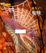 （日）新开孝摄影；（日）新开孝文；彭懿译 — 生命的故事 诞生了！蜘蛛