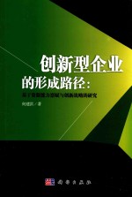 何建洪著 — 创新型企业的形成路径 基于资源能力禀赋与创新战略的研究