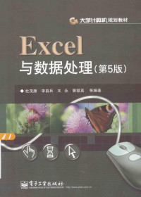 杜茂康，李昌兵，王永等编著, 杜茂康等编著, 杜茂康, 杜茂康, author — Excel与数据处理 第5版