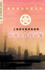 共青团上海市委员会编 — 上海团市委资助基层 优秀工作项目集