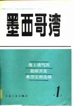 中国海洋石油总公司海洋石油勘探开发研究中心 — 海上油气田勘探开发典型实例选编 1 墨西歌湾