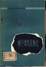 （苏）潘科夫斯基（В.И.Панъколский）著；辛镜敏等译 — 地下煤炭瓦斯化