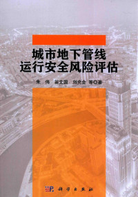 朱伟，翁文国，刘克会等著 — 城市地下管线运行安全风险评估