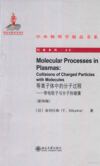 （日）市川行和著 — 等离子体中的分子过程 带电粒子与分子的碰撞=MOLECULAR PROCESSSES IN PLASMAS:COLLIISIONS OF CHARGED PARTICLES WITH MOLECULES