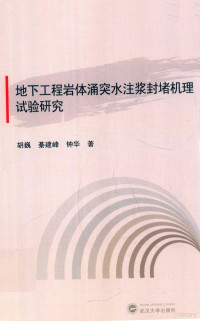 胡巍，綦建峰，钟华著 — 地下工程岩体涌突水注浆封堵机理试验研究