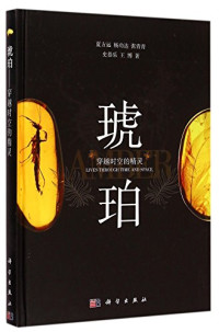 夏方远，杨功达，张青青，史恭乐，王博编著, Xia Fangyuan, Yang Gongda, Zhang Qingqing, Shi Gongle, 夏方远, author, 夏方远等著, 夏方远, 夏方远 (收藏家) — 琥珀 穿越时空的精灵