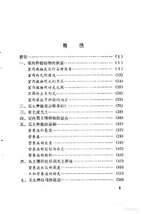 罗迪安编译 — 家庭无土养花