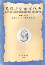 黄万波主编 — 龙骨坡史前文化志 1999年 第一卷