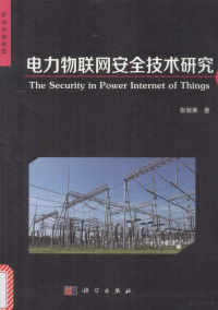 张翼英著 — 信息安全丛书 电力物联网安全技术研究