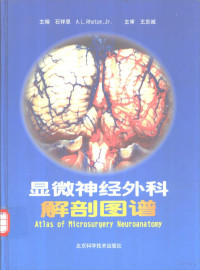 Pdg2Pic, 石祥恩，（美）A.L.Rhoton，Jr.主编 — 显微神经外科解剖图谱