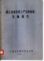  — 浙江龙泉青瓷上严儿村窑址发掘报告