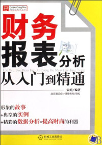 宋娟编著, 宋娟, author, Song juan, 宋娟编著, 宋娟 — 财务报表分析从入门到精通