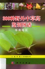 李薇主编 — 300种野外中草药鉴别图谱 华南地区