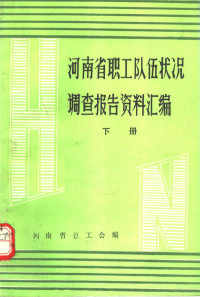 河南省总工会编 — 河南省职工队伍状况调查报告资料汇编 下