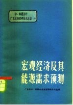 黎诣远，刘三章主编 — 宏观经济及其能源需求预测