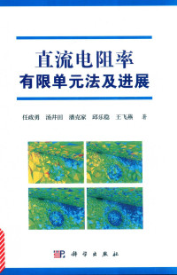 任政勇，汤井田，潘克家，邱乐稳，王飞燕著, 任政勇[等]著, 任政勇, 汤井田, 潘克家, 邱乐稳 — 直流电阻率有限单元法及进展