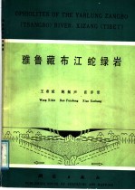 王希斌等著 — 雅鲁藏布江蛇绿岩 中法合作地质考察成果