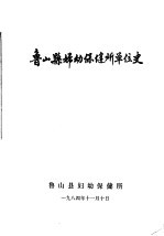 鲁山县妇幼保健所编 — 鲁山县妇幼保健所单位史