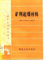 《煤矿火工技术丛书》编写组编 — 矿用起爆材料