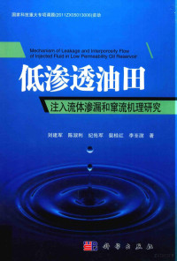 刘建军，陈淑利，纪佑军，裴桂红，李峑澍著 — 低渗透油田注入流体渗漏和窜流机理研究