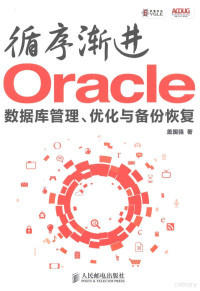 盖国强著 — 循序渐进Oracle 数据库管理、优化与备份恢复