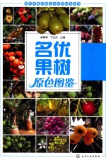 梁春莉，于利杰主编 — 现代珍稀植物及食用菌图鉴系列 名优果树原色图鉴