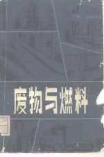 （美）安德森（L.L.Anderson）等编；白怡然等译 — 废物与燃料