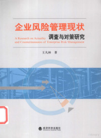 王凡林著 — 企业风险管理现状调查与对策研究