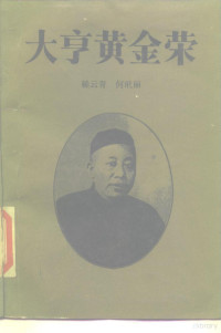 赖云青，何玳丽著, Yün-chʻing Lai — 大亨黄金荣