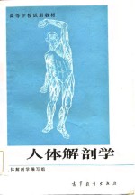 安徽师范大学等院校人体解剖学编写组编写 — 人体解剖学