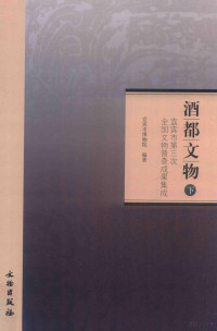 宜宾市博物院编著；罗培红主编 — 酒都文物 宜宾市第三次全国文物普查成果集成 下