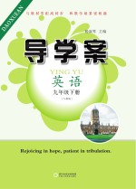 杨淑琴主编 — 导学案 英语 九年级 下 人教版