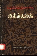 索朗旺堆，张仲立主编 — 乃东县文物志