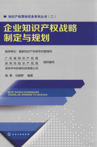 广东省知识产权局，深圳市知识产权局，深圳市知识彩联科技有限公司组织编写 — 企业知识产权战略制定与规划