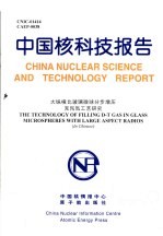 姚书久 — 中国核科技报告 大纵横比玻璃微球分步增压充氘氚工艺研究
