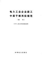 中华人民共和国能源部 — 电力工业企业政工中层干部岗位规范（试行）