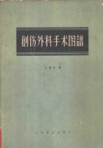 （奥地利）拉塞（O.Russe）著；王泰仪译 — 创伤外科手术图谱