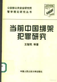 王智民等著 — 当前中国绑架犯罪研究