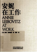 （美）安妮·莱博维茨著 — 安妮在工作