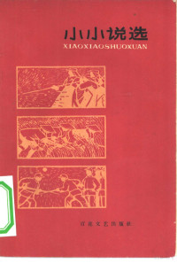 《新港》文学月刊编辑部编 — 小小说选