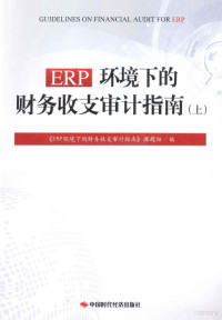 《ERP环境下的财务收支审计指南》课题组编 — ERP环境下的财务收支审计指南（上）