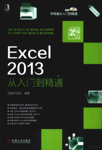 恒盛杰资讯编著, 恒盛杰资讯编著, 成都恒盛杰科技资讯公司 — Excel 2013从入门到精通