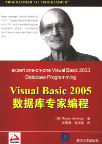 （美）詹尼斯（Jennings，R.）著；崔洪斌，王爱民译, Roger Jennings — Visual Basic 2005数据库编程