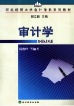 杨俊峰等编著 — 审计学